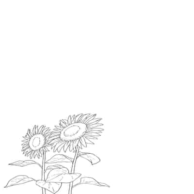 [Meganei] Shishunki no Obenkyou [Chinese] [變態紳士漢化組] [Digital]