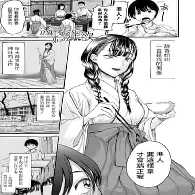 hasebe souutsu collection