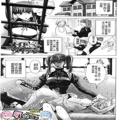 hasebe souutsu collection