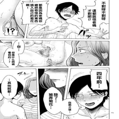 hasebe souutsu collection