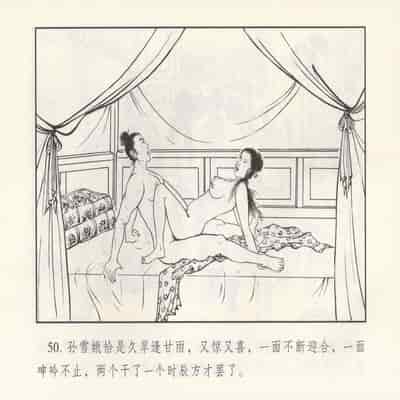 金瓶梅 第四 ~ 十回 (八字金)[中国古善文化出版社]