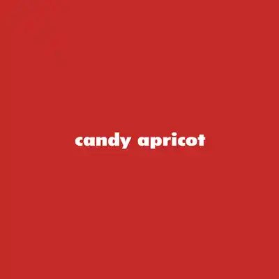 [candy apricot (Mashita)] Ninpou! Josou Nekomimi Maid Mugen Tanetsuke no Jutsu!! [Chinese] [瑞树汉化组] [Digital]