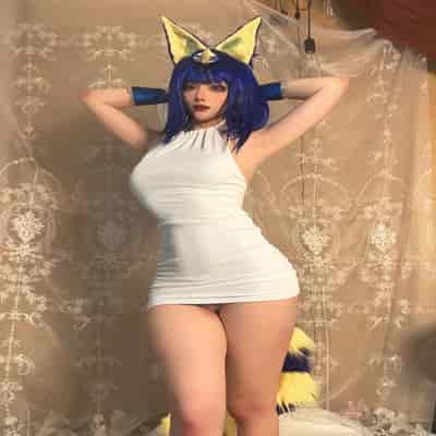 Kiji Lump Will-Dusty 貓