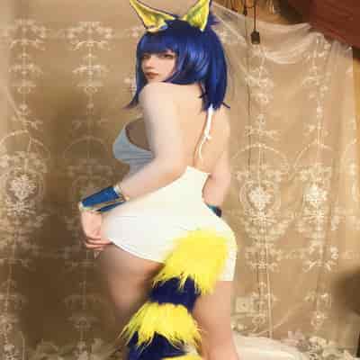 Kiji Lump Will-Dusty 貓