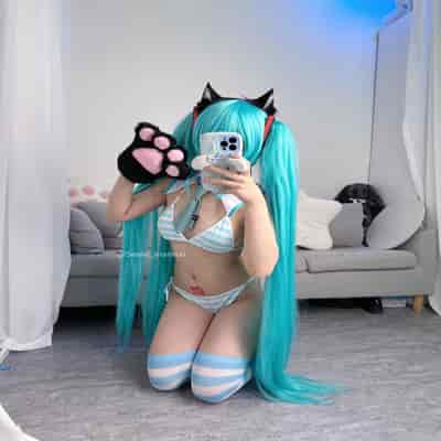 Seele麦麦 - 初音未来