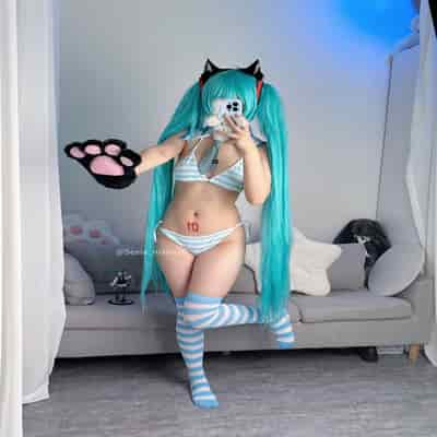 Seele麦麦 - 初音未来