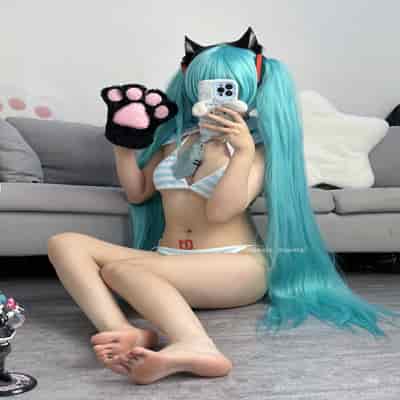 Seele麦麦 - 初音未来