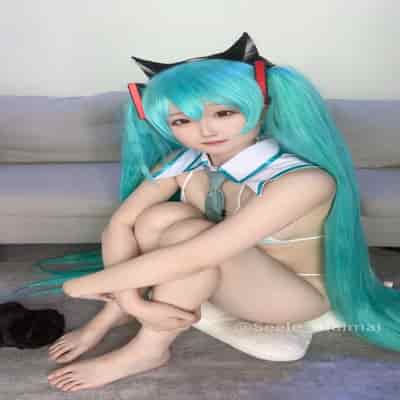 Seele麦麦 - 初音未来