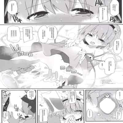 (C89) [コーラーボルト (平国風鈴)] MissionIn：Pink (東方Project) [明稿昨拖漢化組]