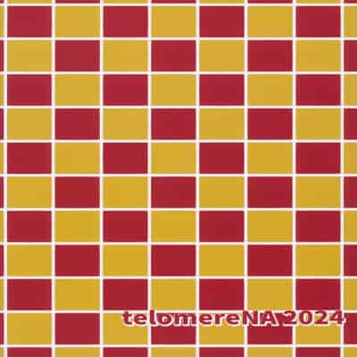 [てろめあな (ぐすたふ)] ふたりだけの秘密の温泉旅行 (機動戦士ガンダムSEED FREEDOM)｜独属于二人的秘密温泉旅行 [暴碧汉化组] [DL版]