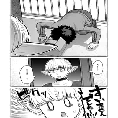 [ヨンカクボックス (シネクドキ)] お隣さんの元ソードマスターエルフ!!