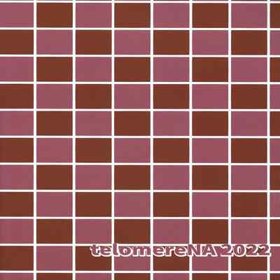 (C101) [telomereNA (Gustav)] Otona no Yuuwaku (THE IDOLM@STER CINDERELLA GIRLS) [Chinese]