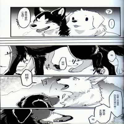 [Kaiten ParaDOGs (Minaga Tsukune)] Hakoniwa Jealousy 箱庭之妒 [Chinese]