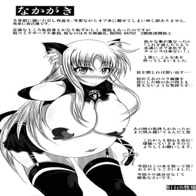 (C82) [Bitch Bokujou (Bokujou Nushi K)] Zettai Chinpo Nanka ni Maketari Shinai Hon Re/birth (Mahou Shoujo Lyrical Nanoha StrikerS, Dog Days) [Chinese] [流木个人汉化]