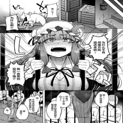 [Jikahatsudensho (flanvia)] Ana to Muttsuri Dosukebe Daitoshokan 5 (Touhou Project) [Chinese] [Digital] [小狐狸委托汉化]