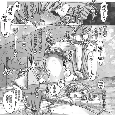 (C91) [Shiwodou (Shiwo )] Multiple☆Tinkle (Mahou Shoujo Lyrical Nanoha) [Chinese] [心海汉化组]