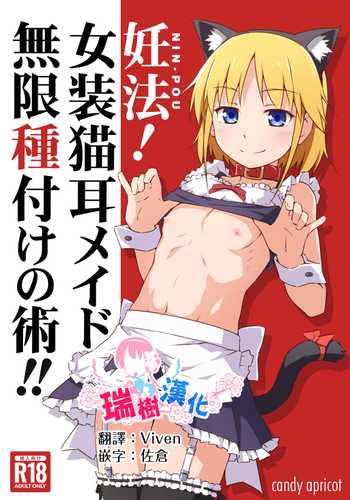 [candy apricot (Mashita)] Ninpou! Josou Nekomimi Maid Mugen Tanetsuke no Jutsu!! [Chinese] [瑞树汉化组] [Digital]